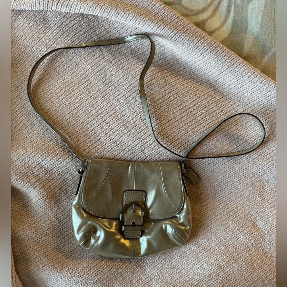 Coach Metallic Crossbody